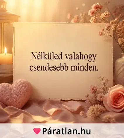 Nélküled valahogy csendesebb minden.