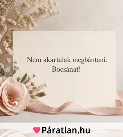 Nem akartalak megbántani. Bocsánat!