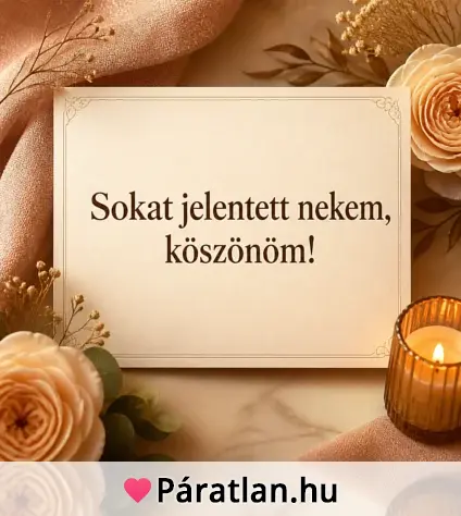 Sokat jelentett nekem, köszönöm!