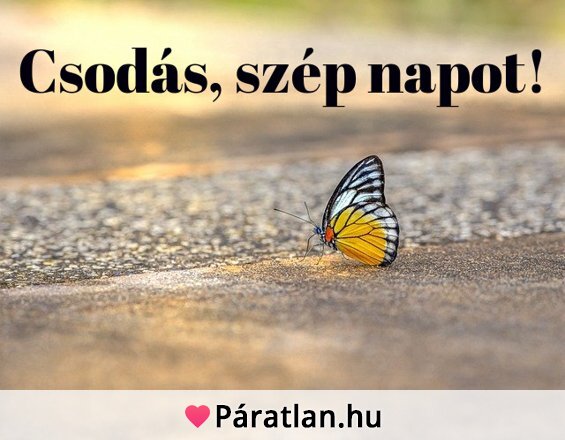 Csodás, szép napot!