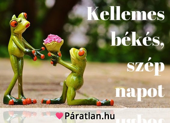 Kellemes békés, szép napot kívánok!