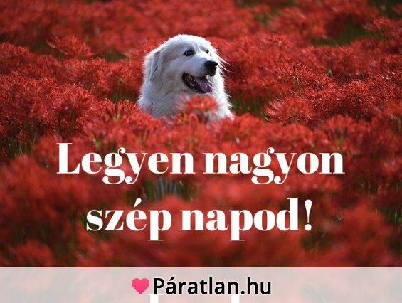 Legyen nagyon szép napod!