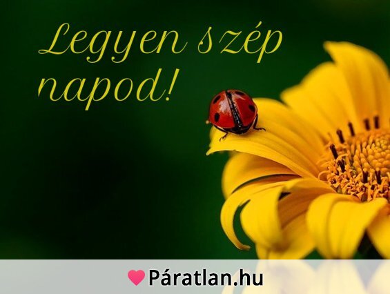 Legyen szép napod!