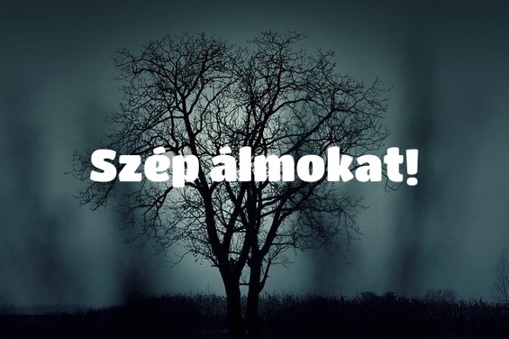 Szép álmokat!