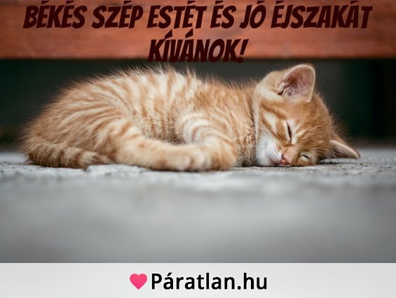 Békés szép estét és jó éjszakát kívánok!