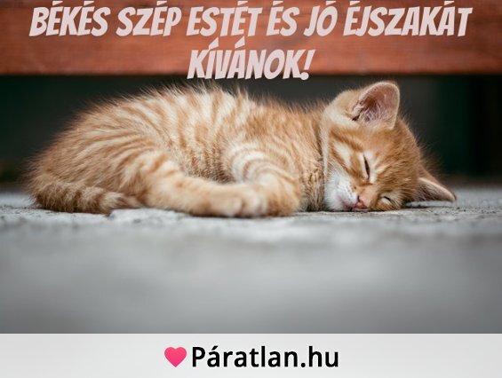 Békés szép estét és jó éjszakát kívánok!