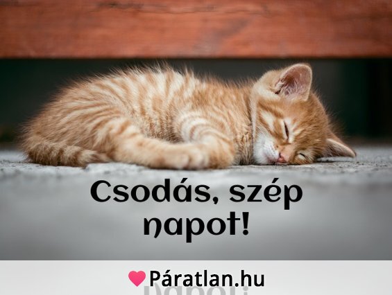 Csodás, szép napot!