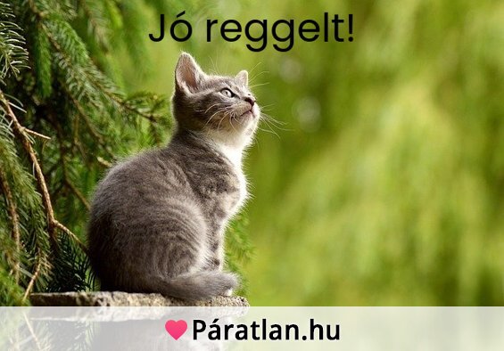 Jó reggelt!