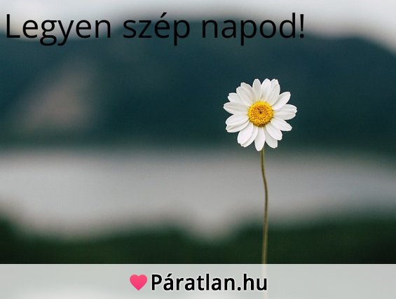 Legyen szép napod!