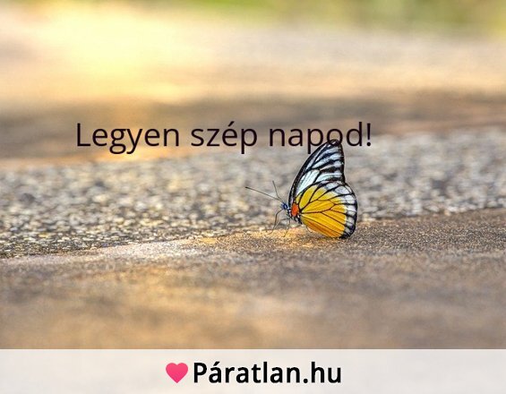 Legyen szép napod!