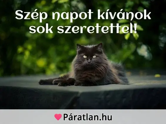 Szép napot kívánok sok szeretettel!