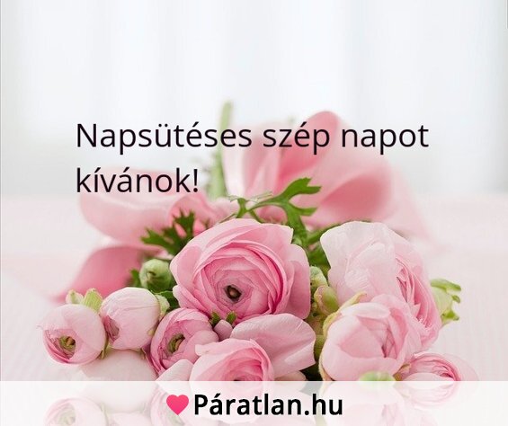 Napsütéses szép napot kívánok!