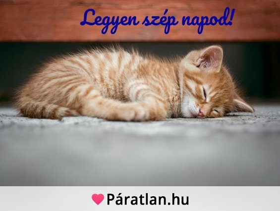 Legyen szép napod!