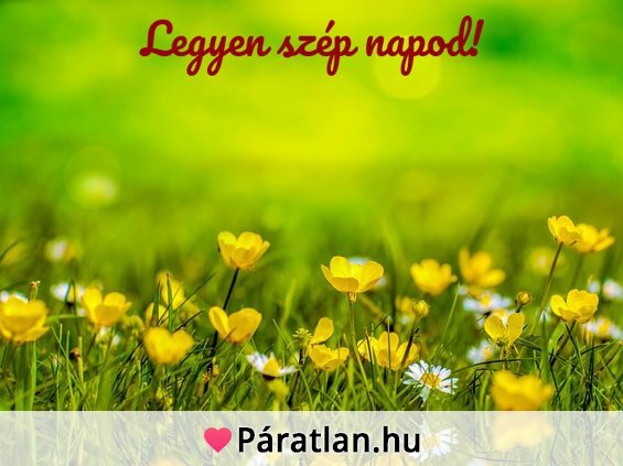 Legyen szép napod!