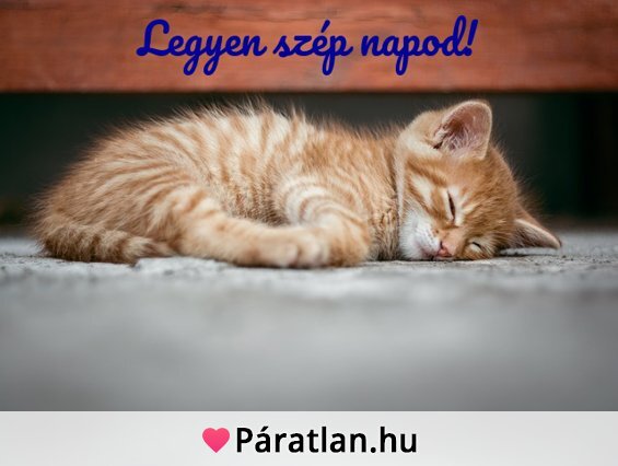 Legyen szép napod!