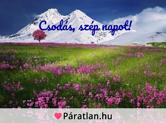 Csodás, szép napot!