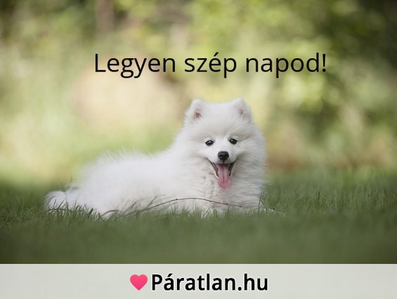 Legyen szép napod!