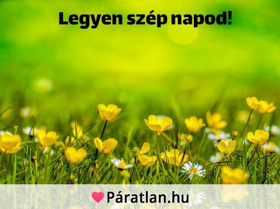 Legyen szép napod!