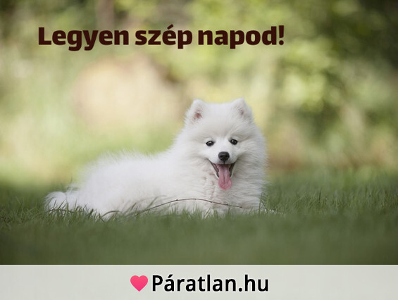 Legyen szép napod!