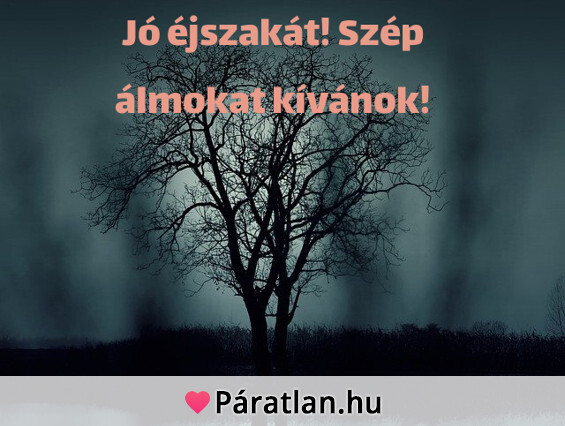 Jó éjszakát! Szép álmokat kívánok!