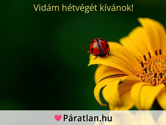 Vidám hétvégét kívánok!