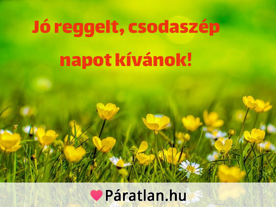 Jó reggelt, csodaszép napot kívánok!