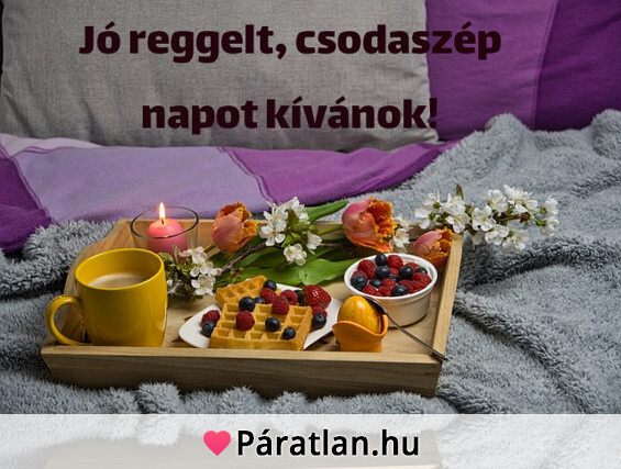 Jó reggelt, csodaszép napot kívánok!