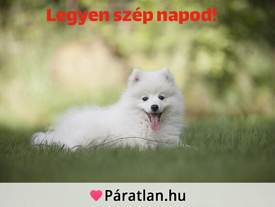 Legyen szép napod!