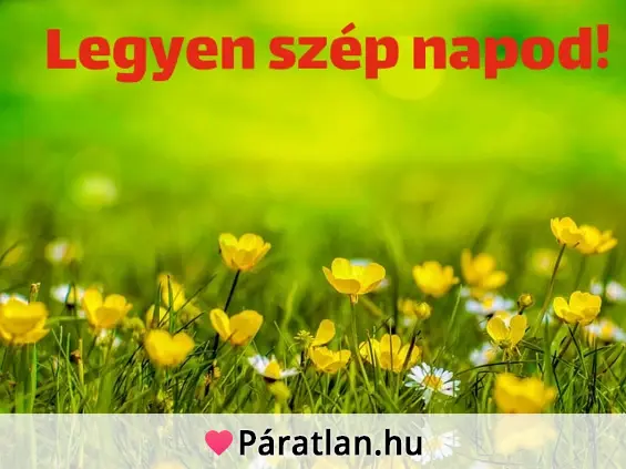 Legyen szép napod!