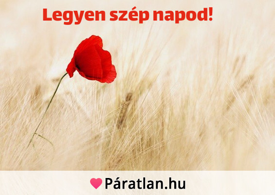 Legyen szép napod!