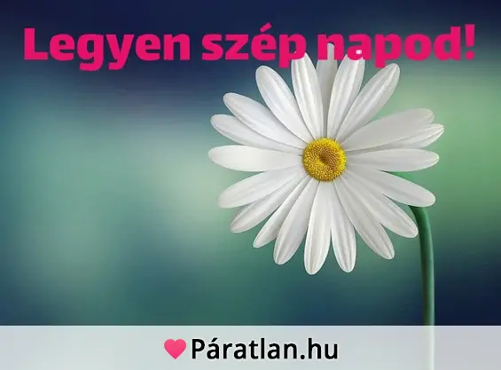 Legyen szép napod!