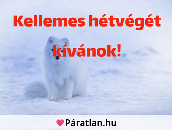 Kellemes hétvégét kívánok!