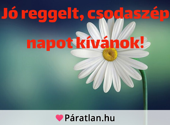 Jó reggelt, csodaszép napot kívánok!