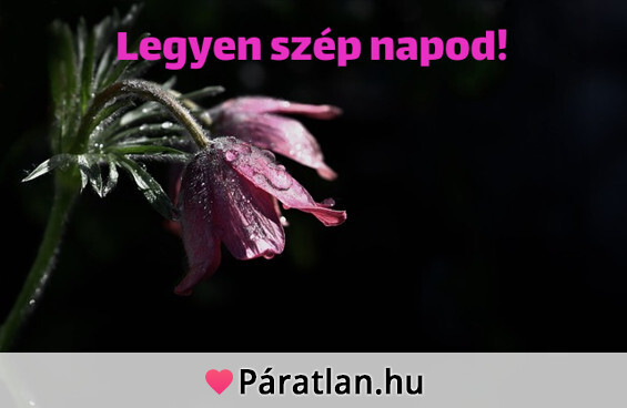 Legyen szép napod!