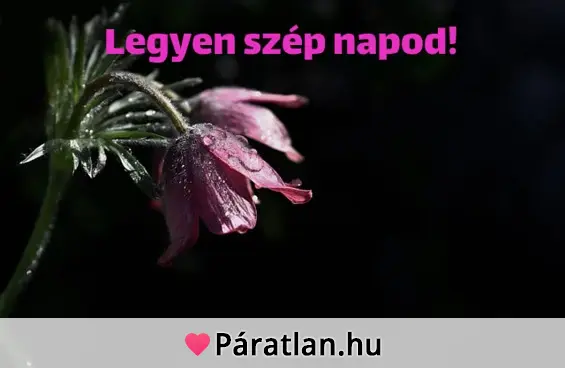 Legyen szép napod!