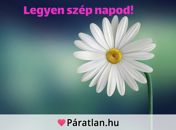 Legyen szép napod!