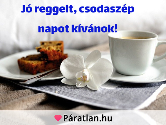 Jó reggelt, csodaszép napot kívánok!