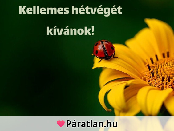 Kellemes hétvégét kívánok!