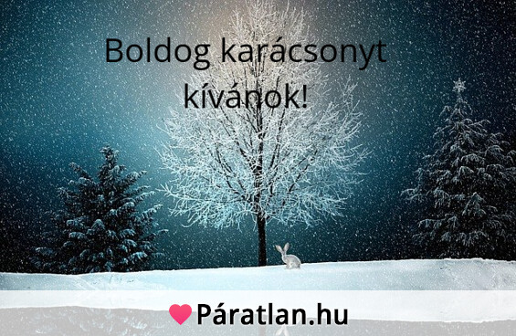 Boldog karácsonyt kívánok!