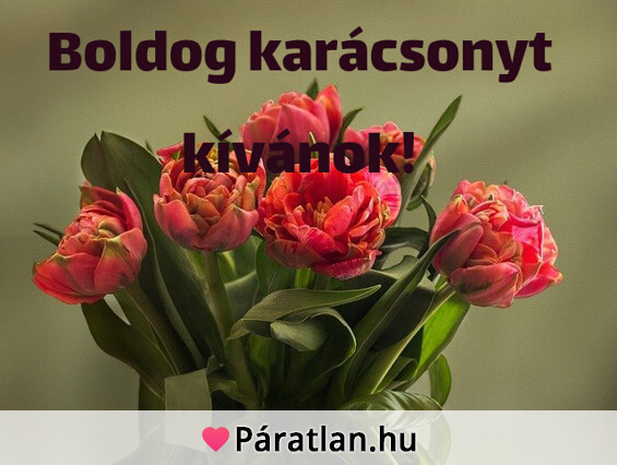 Boldog karácsonyt kívánok!