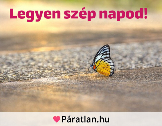 Legyen szép napod!