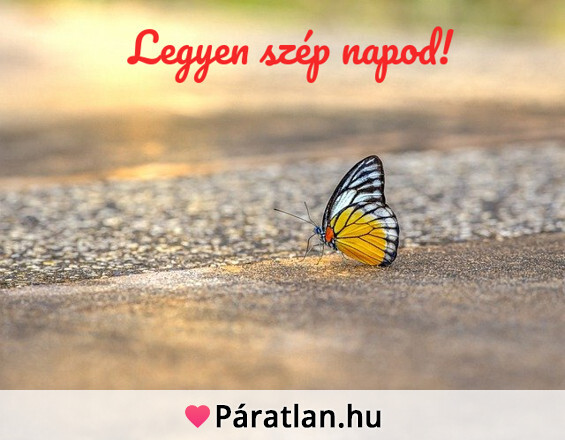 Legyen szép napod!