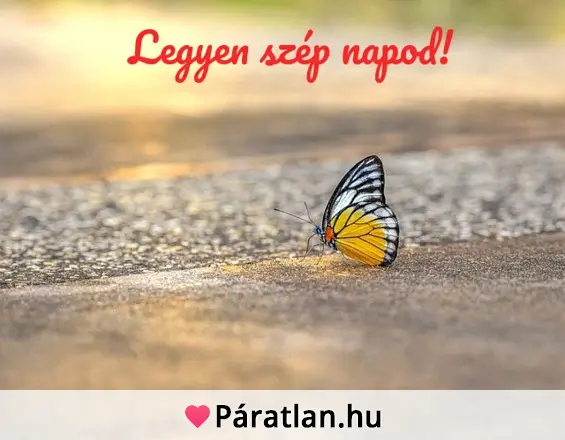 Legyen szép napod!