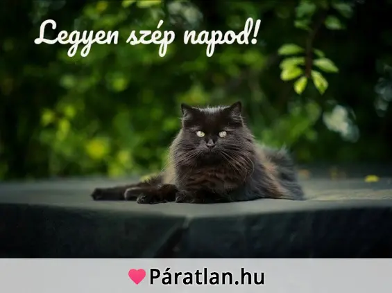 Legyen szép napod!