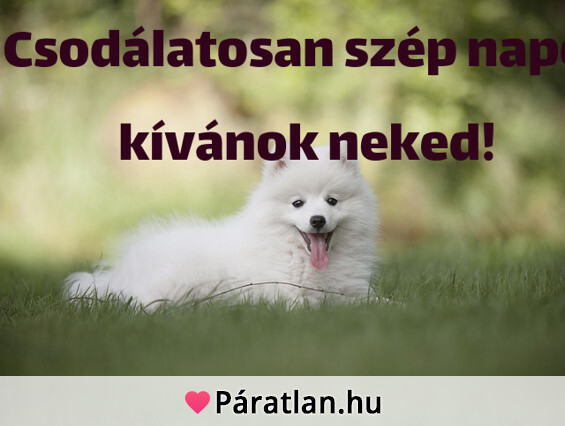 Csodálatosan szép napot kívánok neked!