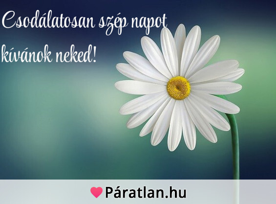 Csodálatosan szép napot kívánok neked!