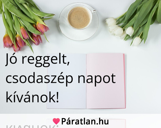 Jó reggelt, csodaszép napot kívánok!