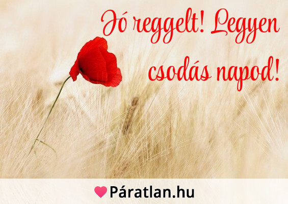 Jó reggelt! Legyen csodás napod!