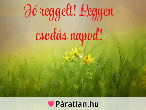 Jó reggelt! Legyen csodás napod!