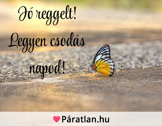 Jó reggelt! Legyen csodás napod!